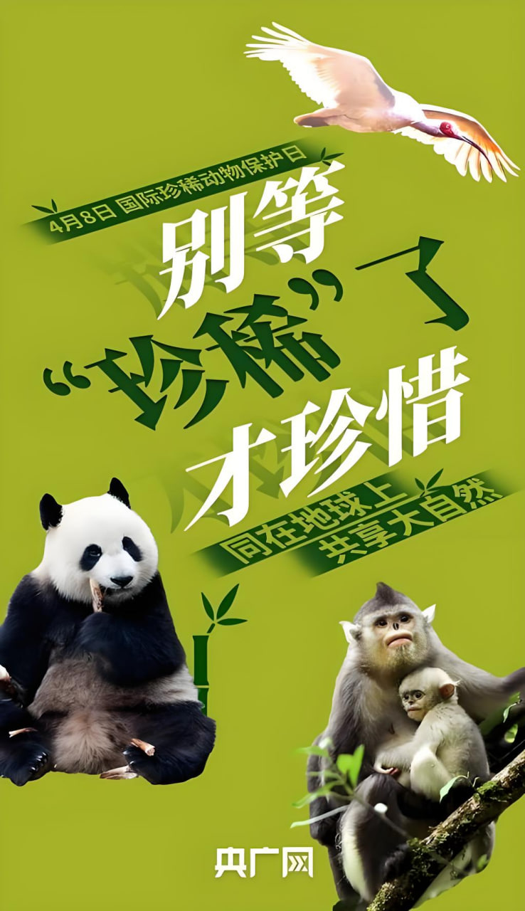 水的三态变化
